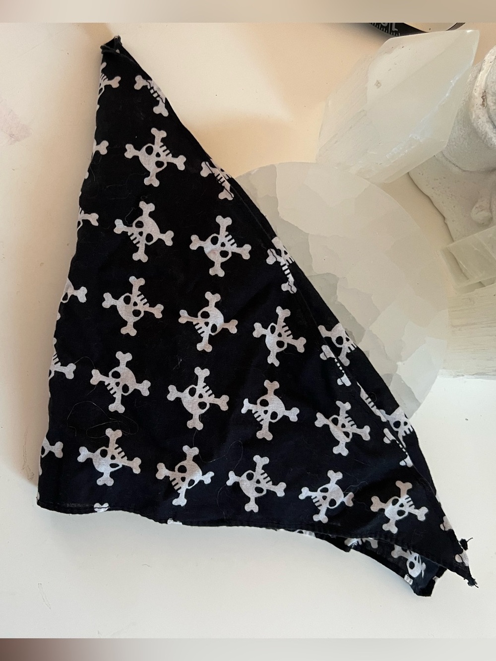 NWOT Bark Box Dog Bark Beard's Bandana - Bark & Co. Barkbox - Skull & Crossbones